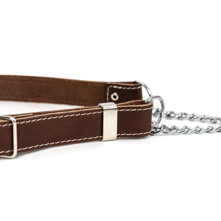 Martingale Leather Dog Collar