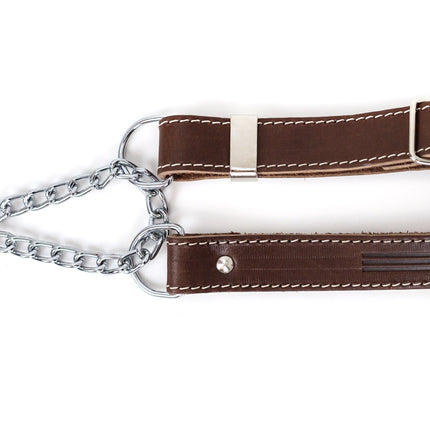 Martingale Leather Dog Collar