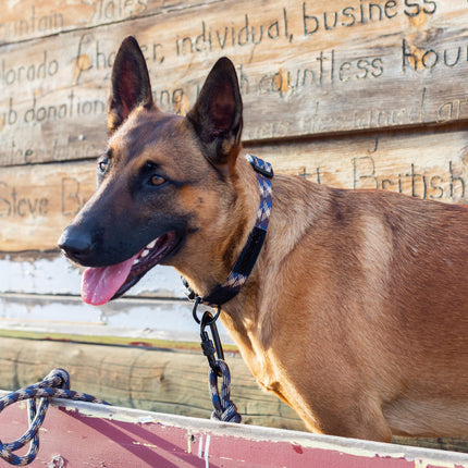 Climbing Rope Dog Leash