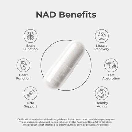 NAD+ Capsules - Dashing Nova