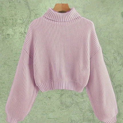 Turtle Neck Elegant Long Sleeve Sweater