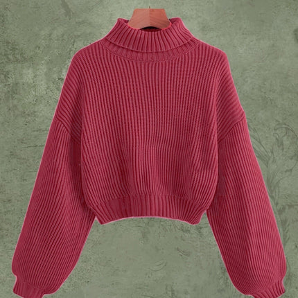 Turtle Neck Elegant Long Sleeve Sweater