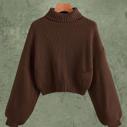 Turtle Neck Elegant Long Sleeve Sweater