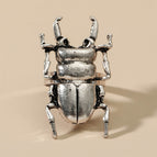 06 Ancient Silver DZ-460