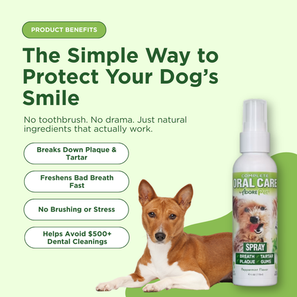 Oral Care Spray