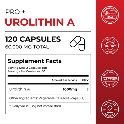 Urolithin A Pro Capsules - Dashing Nova