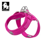 Fuchsia / XXS