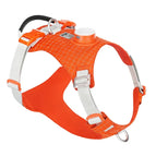 Orangeade / XS