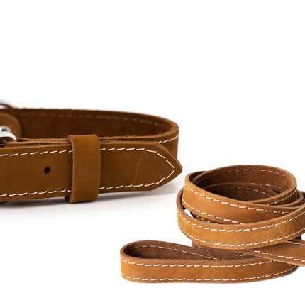 Pro Line Hunting Leather Collar and Leash Set