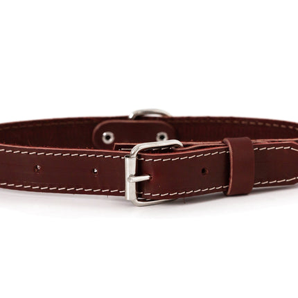 Pro Line Leather Hunting Dog Collar