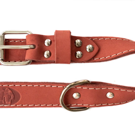Pro Line Hunting Leather Collar and Leash Set