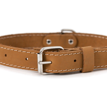Pro Line Leather Hunting Dog Collar