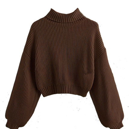 Turtle Neck Elegant Long Sleeve Sweater