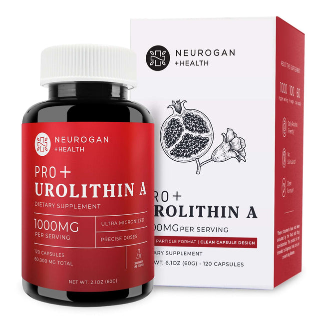 Urolithin A Pro Capsules - Dashing Nova