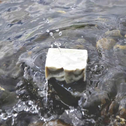 Mermud Soap - Alaskan Seaweed Cleansing Bar - Dashing Nova