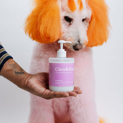 In Bloom (Dog Shampoo & Conditioner Duo)
