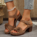 Dark Brown / 36