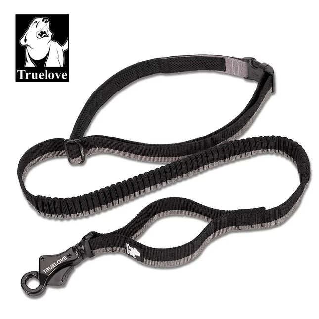 TrueLove Nylon Bungee Dog Leash TLL2271