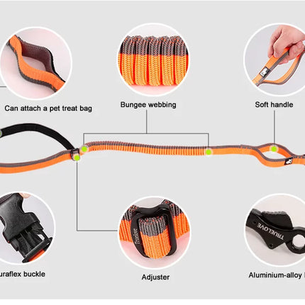TrueLove Nylon Bungee Dog Leash TLL2271