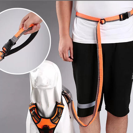 TrueLove Nylon Bungee Dog Leash TLL2271