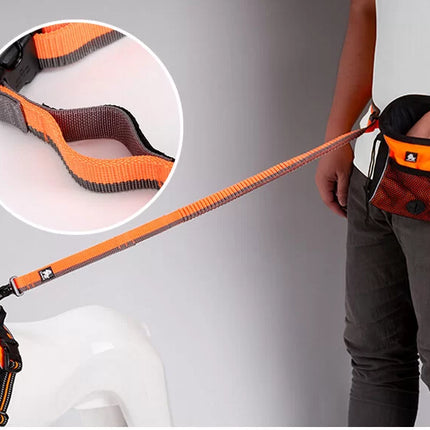 TrueLove Nylon Bungee Dog Leash TLL2271