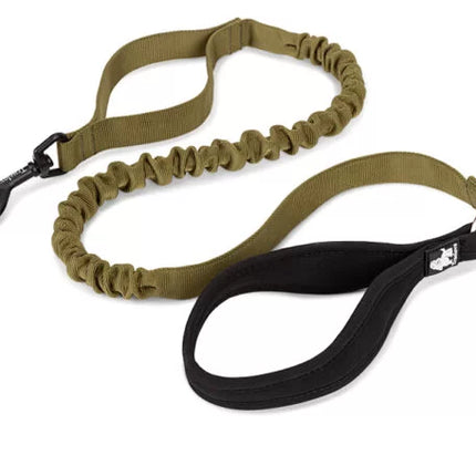 TrueLove Durable Bungee Dog Leash TLL2281