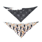 Bat or spider web / S