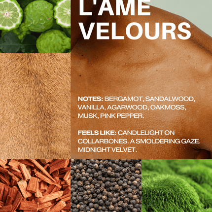 No. 4 - L'Âme Velours Perfume