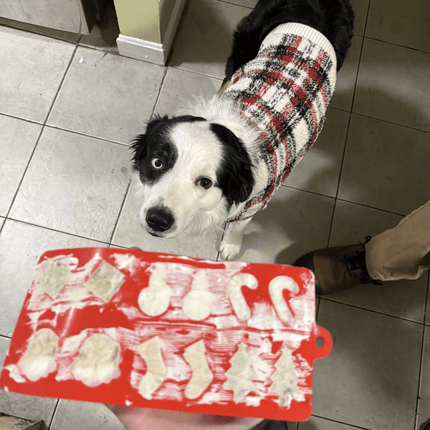 Pet Treat Molds
